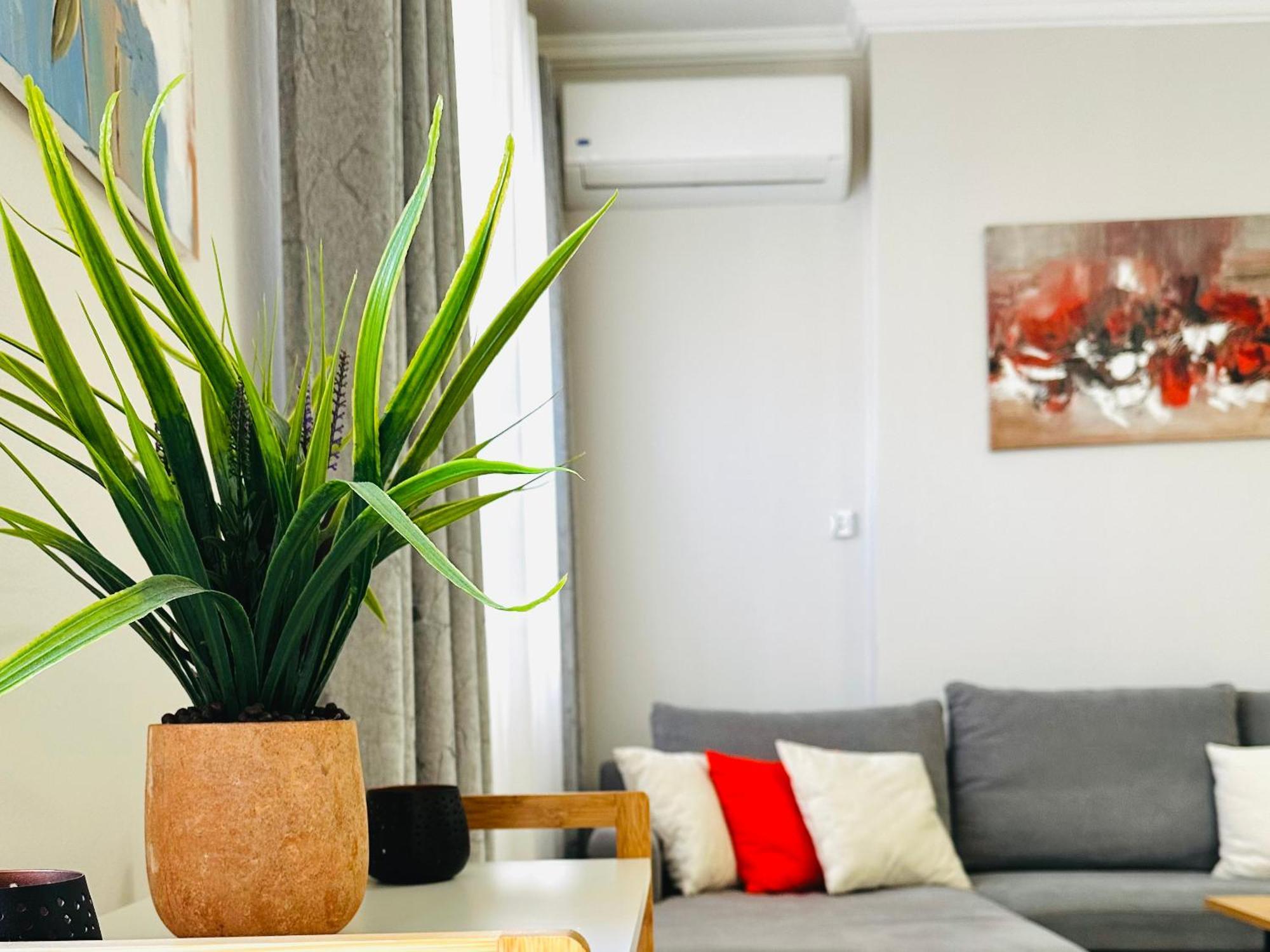 Quiet & Spacious City Center Apartment - 4 Min Walk Тирана Экстерьер фото